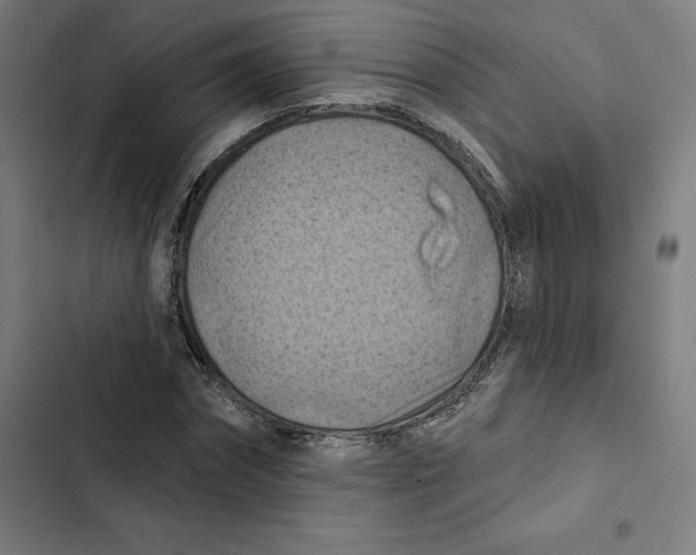 X0000102500874200809051343