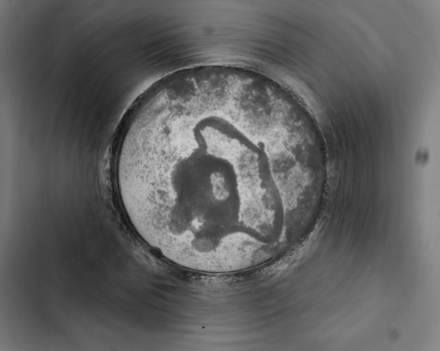 X0000102500875200809051343