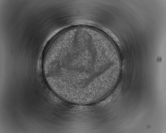 X0000102500877200809051343