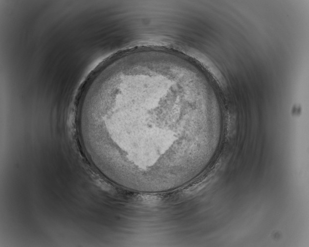 X0000102500878200809051343