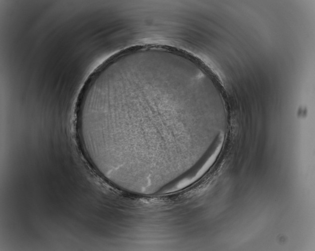 X0000102500879200809051343