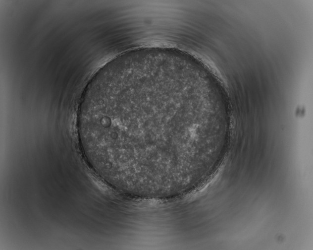 X0000102500881200809051343