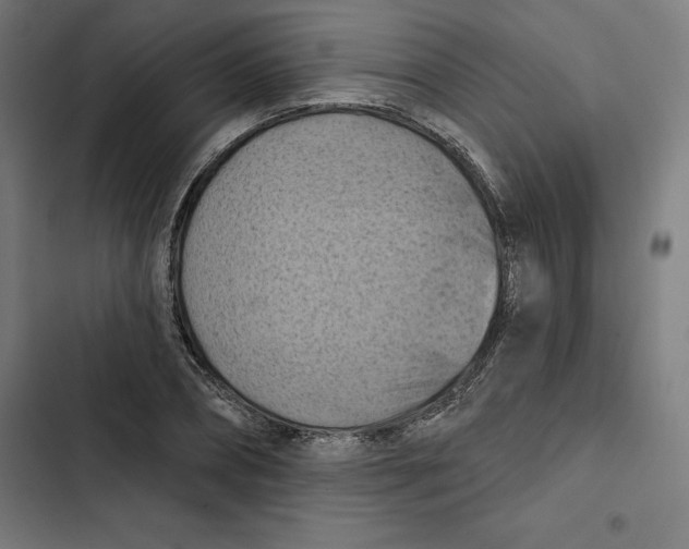 X0000102500882200809051343