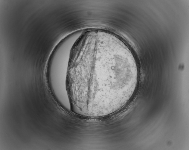 X0000102500883200809051343