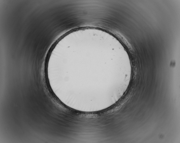 X0000102500884200809051343