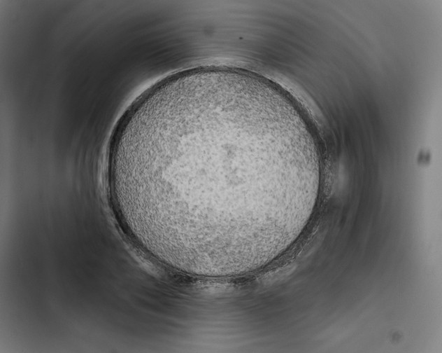 X0000102500886200809051343