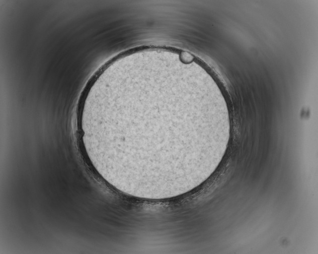 X0000102500887200809051343