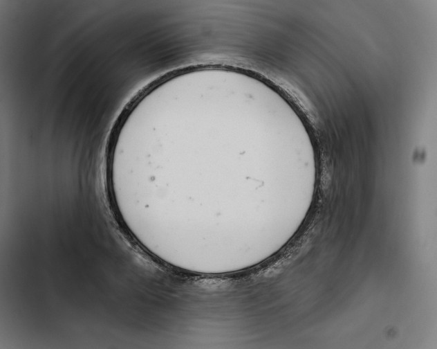 X0000102500888200809051343