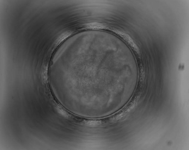 X0000102500889200809051343