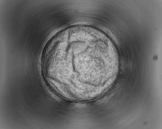 X0000102500890200809051343