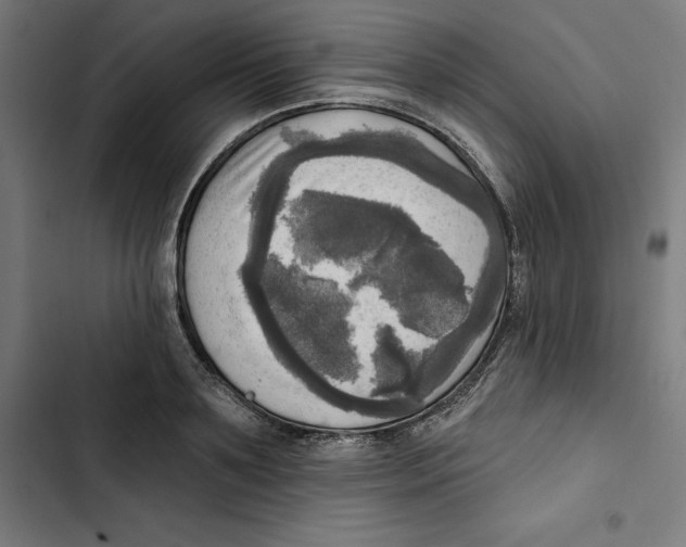 X0000102500891200809051343