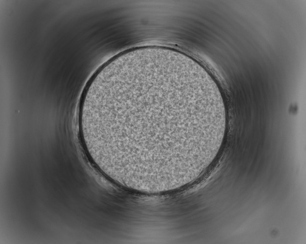 X0000102500892200809051343