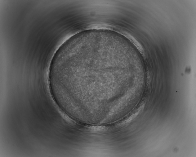 X0000102500893200809051343