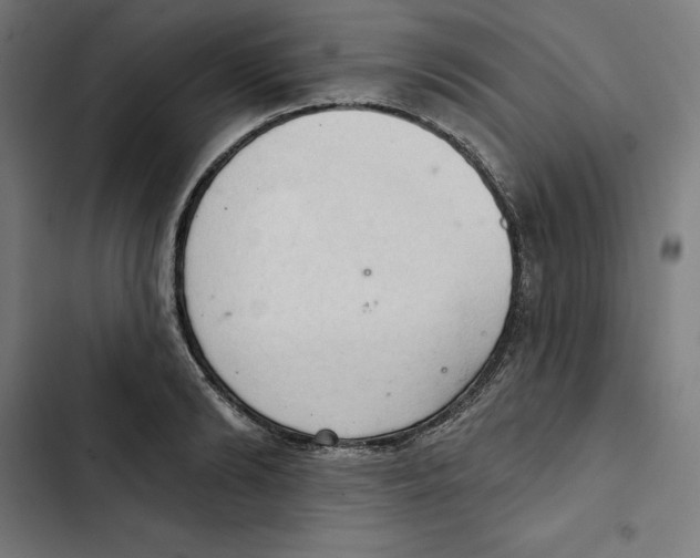 X0000102500894200809051343