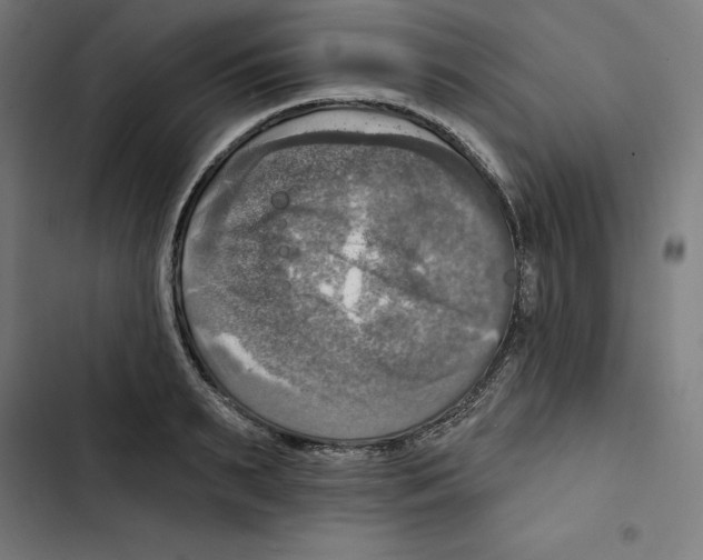 X0000102500895200809051343