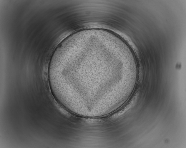 X0000102500897200809051343