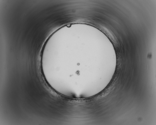 X0000102500900200809051343