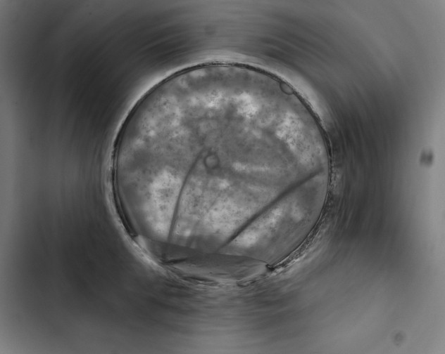 X0000102500903200809051343