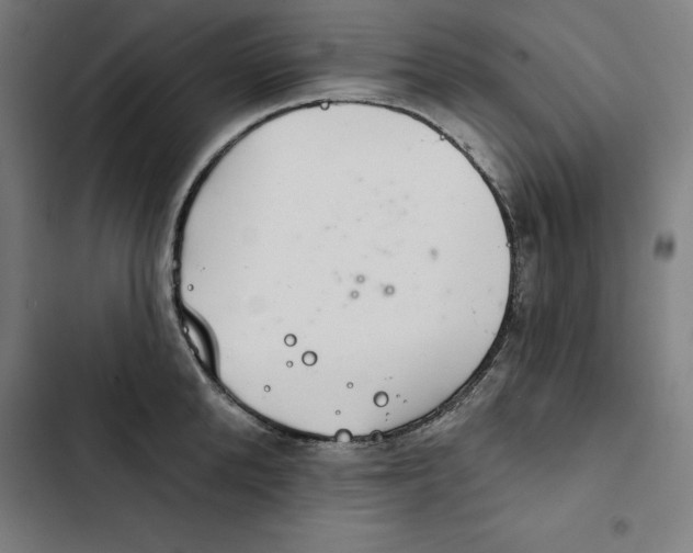 X0000102500904200809051343