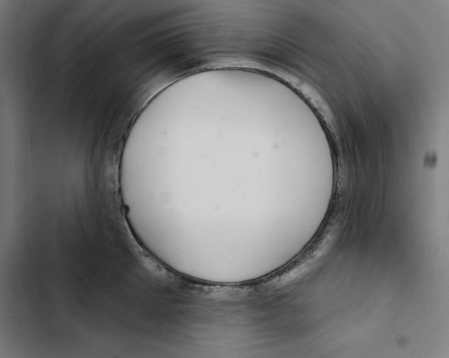 X0000102500905200809051343