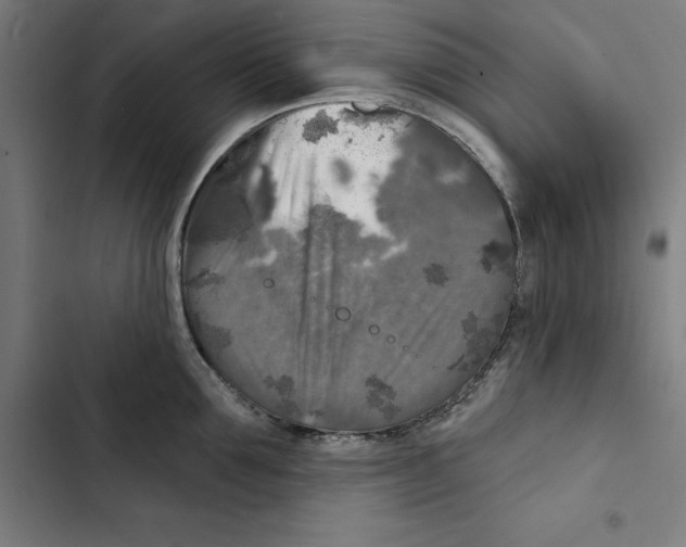 X0000102500907200809051343