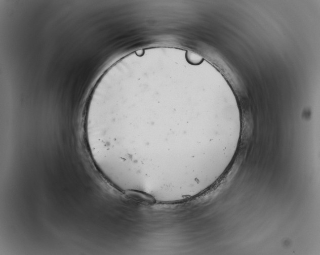 X0000102500908200809051343