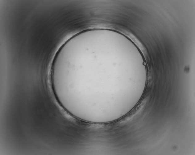 X0000102500909200809051343