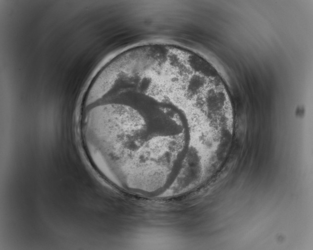 X0000102500911200809051343