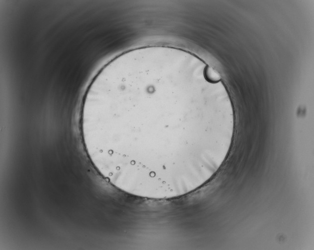 X0000102500912200809051343