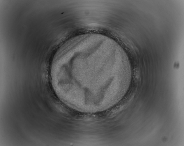 X0000102500916200809051342