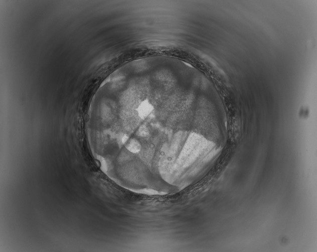 X0000102500917200809051342