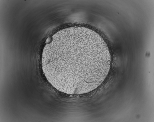 X0000102500918200809051342