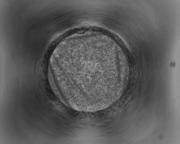 X0000102500919200809051342