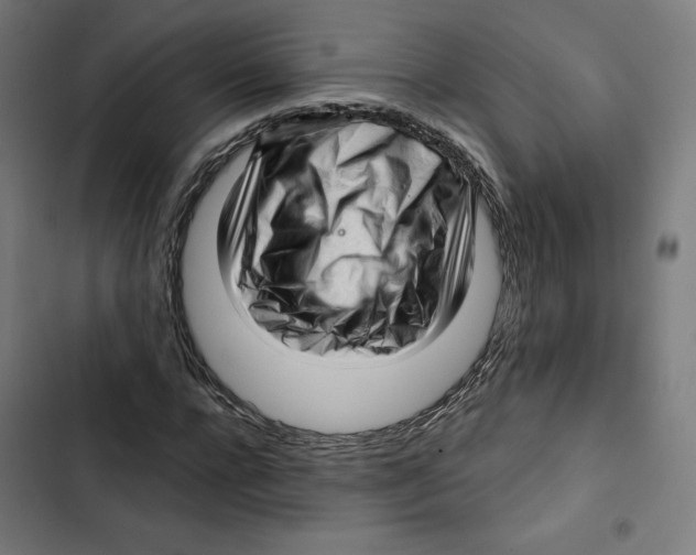 X0000102500920200809051342