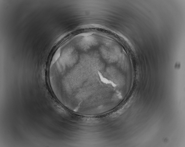 X0000102500921200809051342