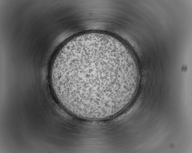 X0000102500922200809051342