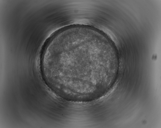 X0000102500923200809051342