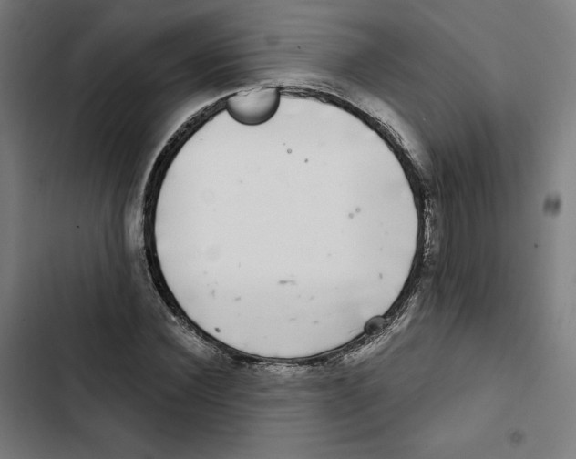 X0000102500924200809051342