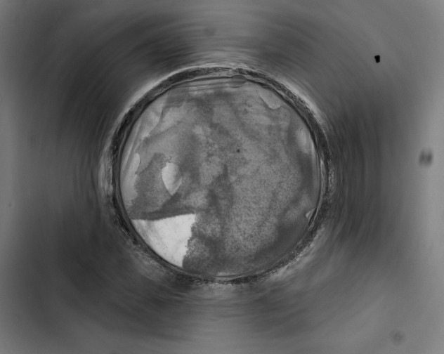 X0000102500925200809051342