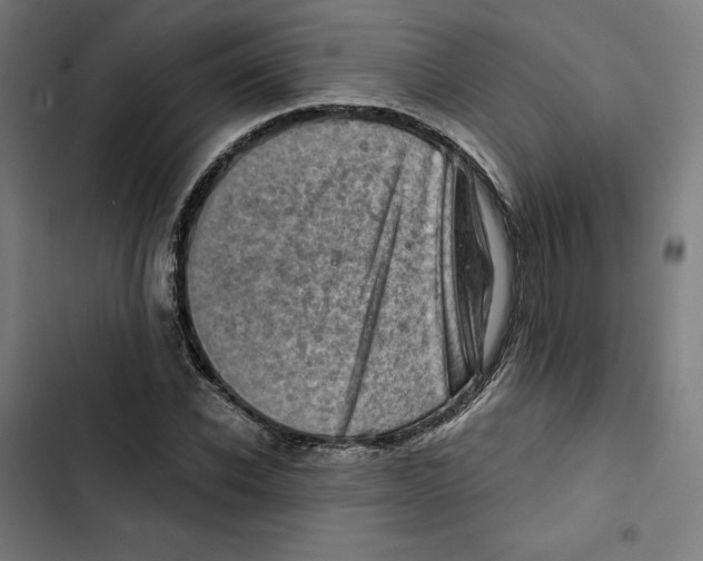 X0000102500926200809051342