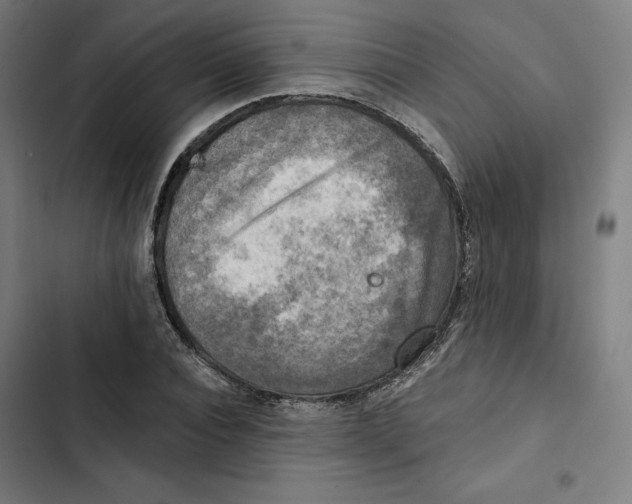 X0000102500928200809051342