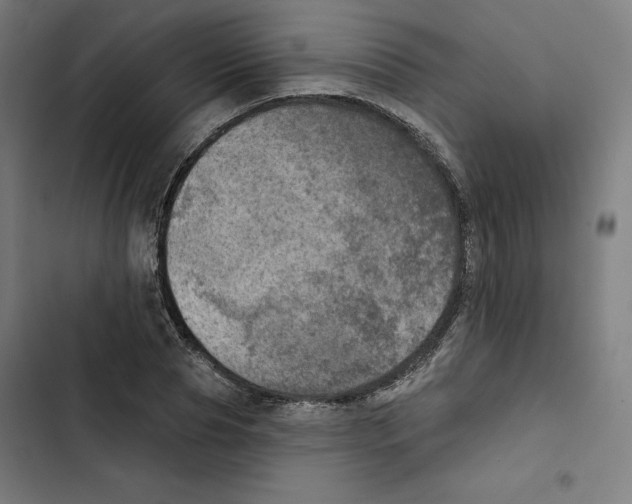 X0000102500929200809051342