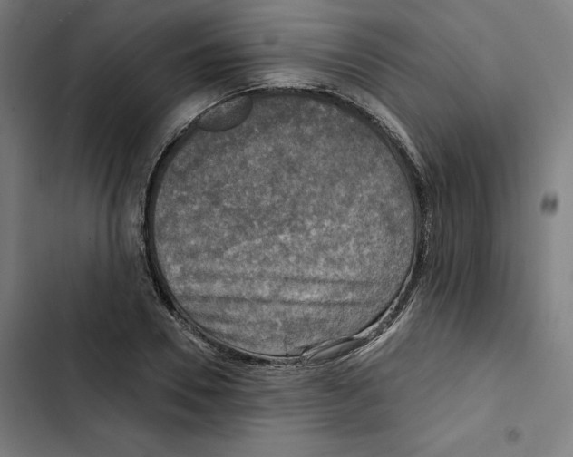 X0000102500930200809051342