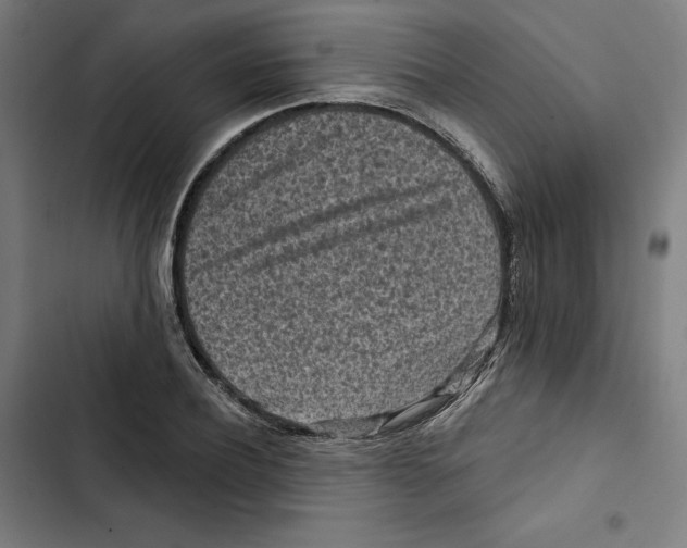 X0000102500932200809051342