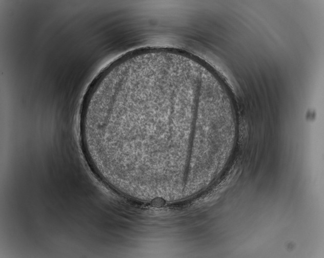 X0000102500935200809051342