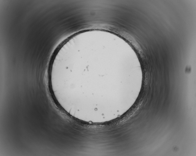 X0000102500936200809051342