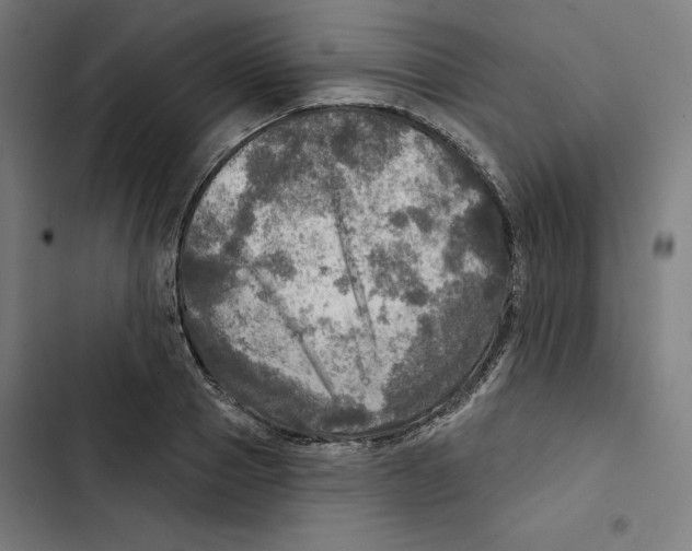 X0000102500937200809051342