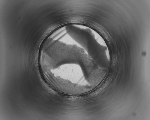 X0000102500938200809051342