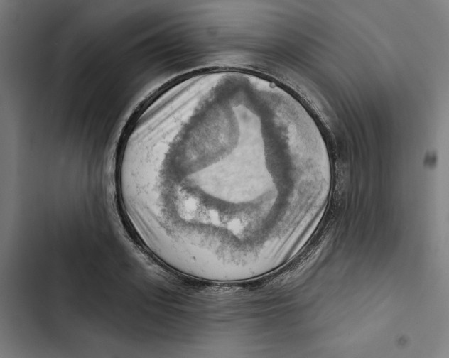 X0000102500939200809051342