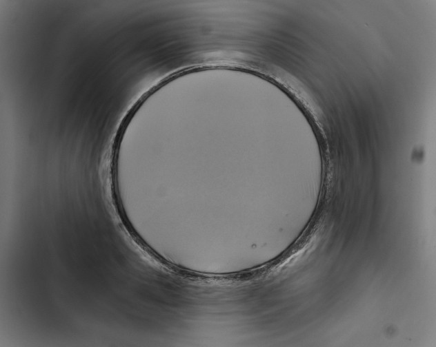 X0000102500941200809051342